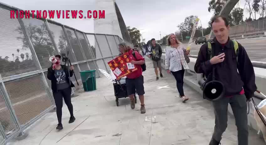 Protesters in Los Angeles