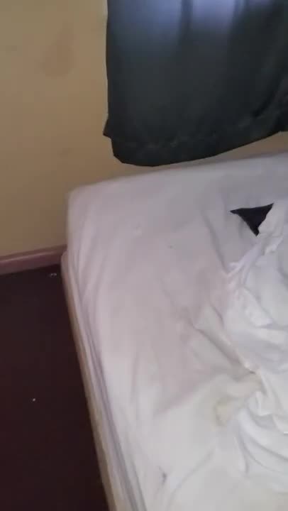 “Maybe Some Mustard I'll Eat.” (June 2020)