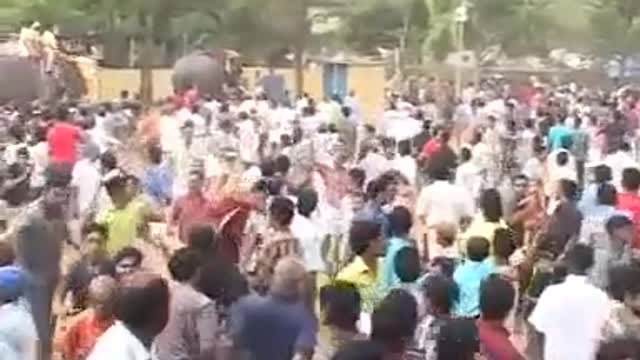 elephant attack in fair [SiGator]
