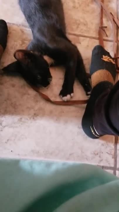 Little Piper Bit Me. 😭😭😅😂😅