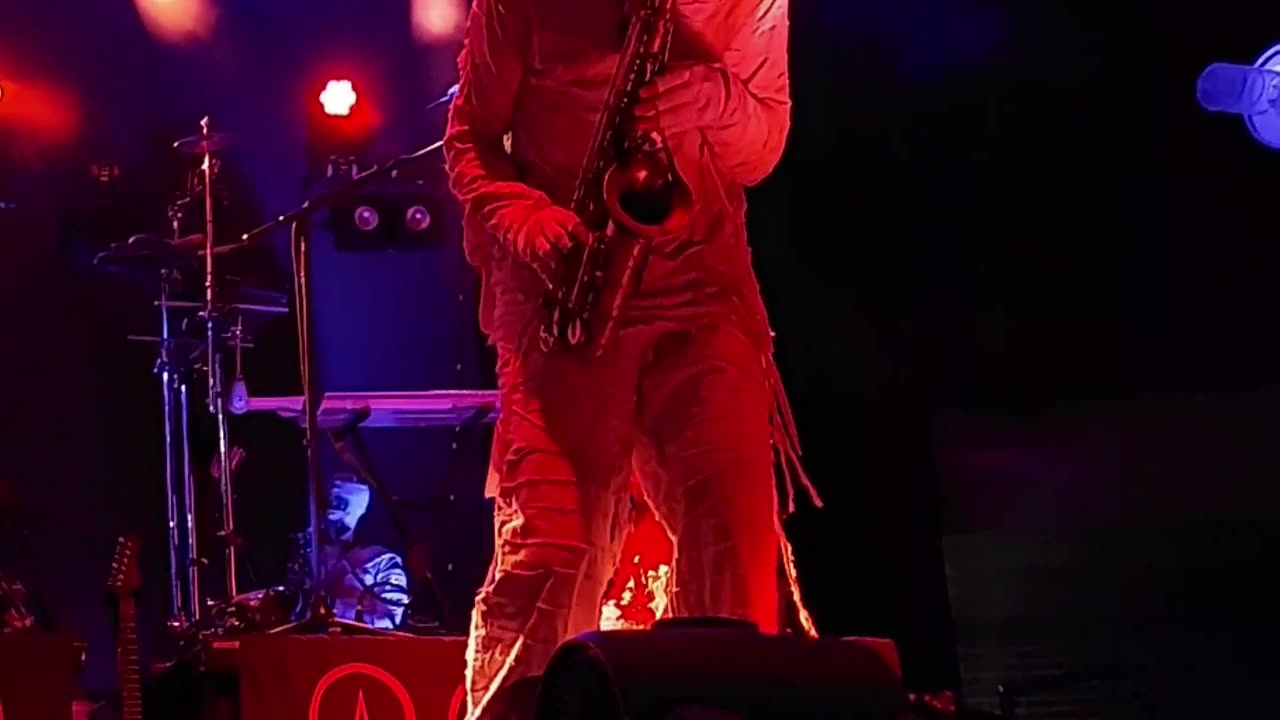 Dr. Yo (Here Come The Mummies) - LIVE @ Avondale (Short 2)