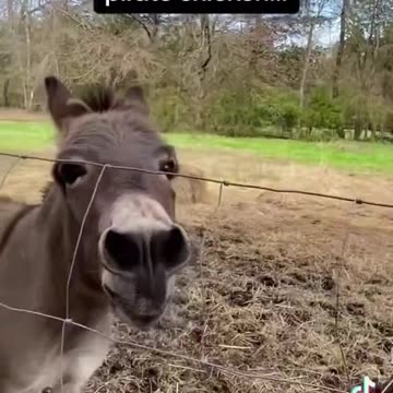 Absolute CUTENESS here!!!