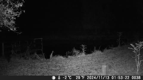 Teich 131124