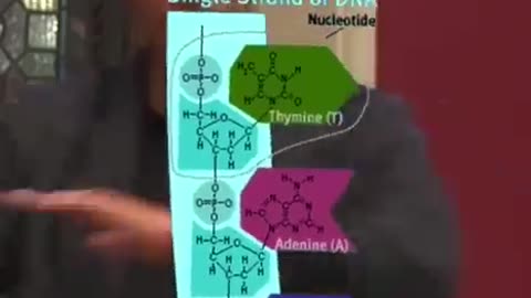 ARE YOU IN TUNE? WHAT HAPPENS TO OUR BODY WHEN OUR INDIVIDUAL PRIME RESONANT FREQUENCY IS PLAYED?