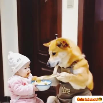 Viral video😝😝😝