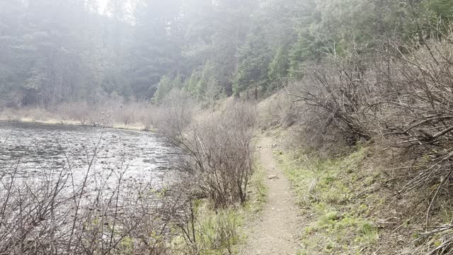 End of Hike, Returning to West Metolius River Trailhead – Central Oregon – 4K