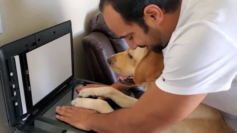 Emotional Dog Video - Father's Day Special