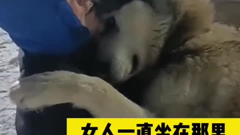 Puppy missing for three months and finally found by owner