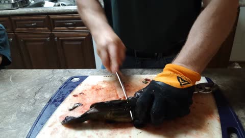 Cleaning Bullheads