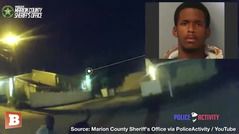 K-9 Turns Burglar Into Chew Toy After Fleeing Police