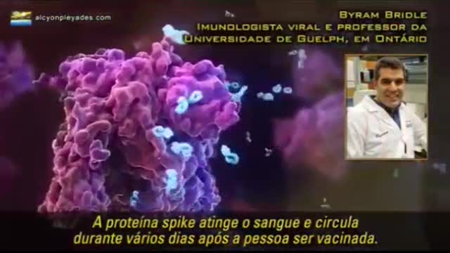 Imunologista fala das atuais vacinas MRna