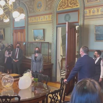 Kamala Yells "Surprise!" At Her Own Surprise Birthday Party