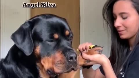 That level of trust