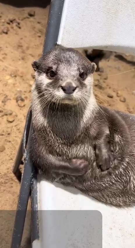 What I do when in the Caribbean at the beach 🤣