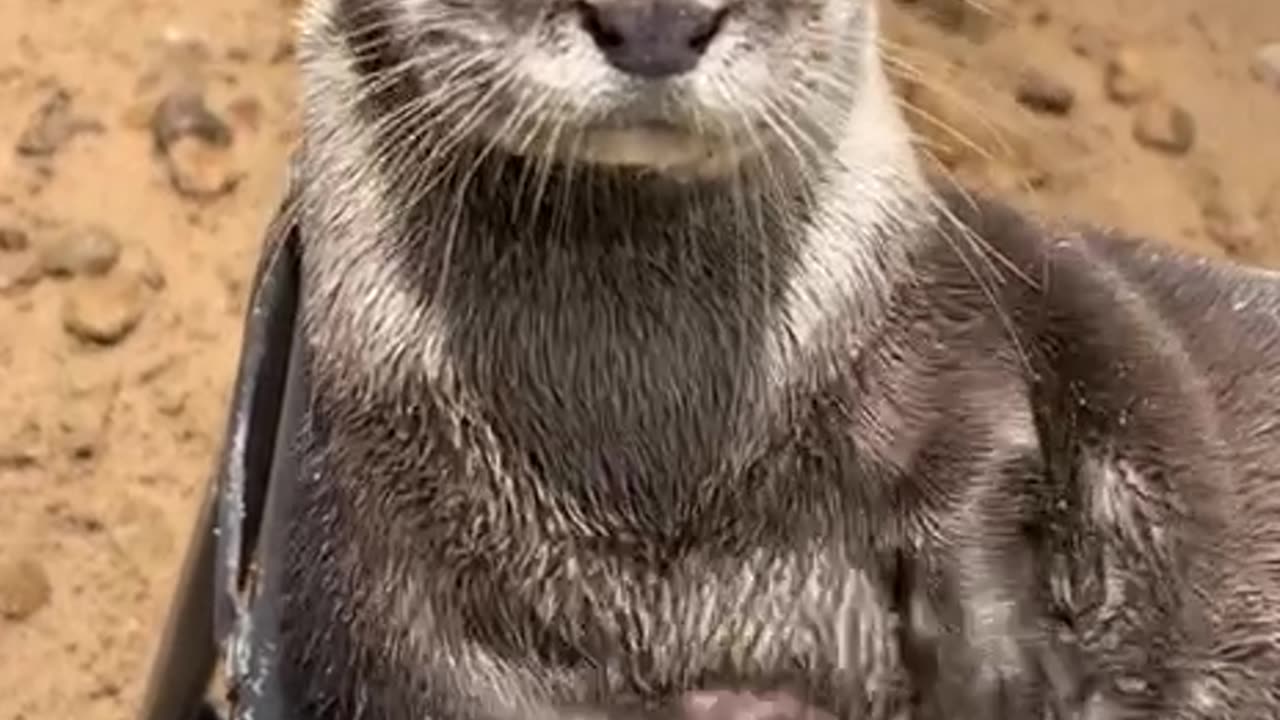 What I do when in the Caribbean at the beach 🤣