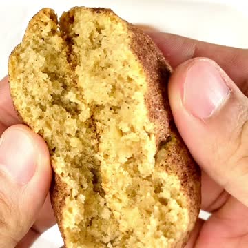 Snickerdoodles (CRUMBSHOT)