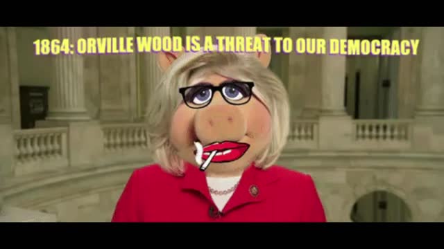 Liz Cheney Concession Speech "Orville Wood is a Threat to Democracy"