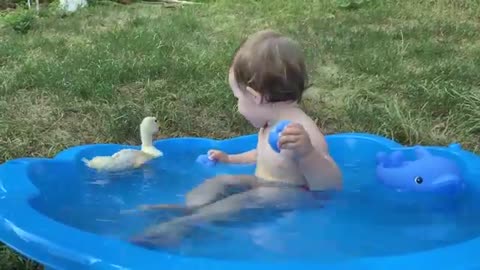 Funny baby video swimming pool with duckling baby