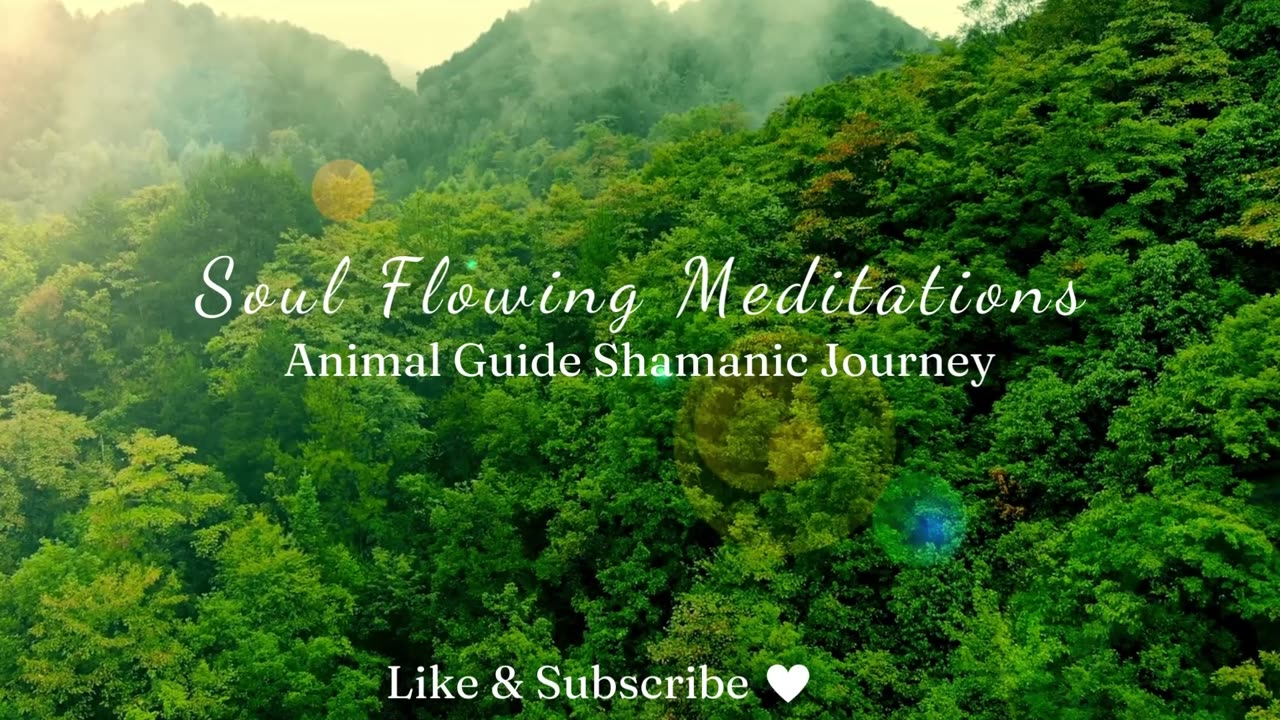 Spirit Animal Meeting - Shamanic Journey