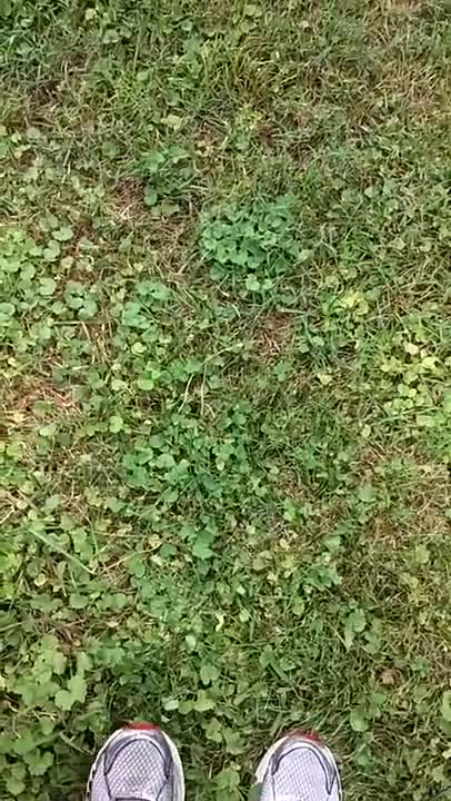 steps, choices, options, opportunities