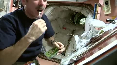 How to Cook Spinach In Space