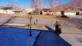 Radwagon 4 kid transporter