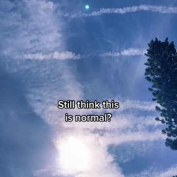 I am disgusted this morning