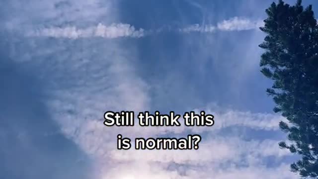 I am disgusted this morning