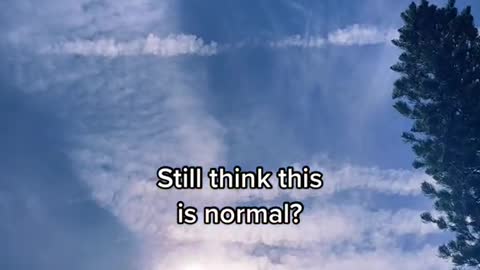 I am disgusted this morning