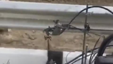 Painting the curb on the highway