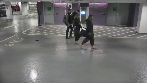 6178RHOBG3G302DLobbyEntry_2021-01-06_08h40min01s867ms.mp4