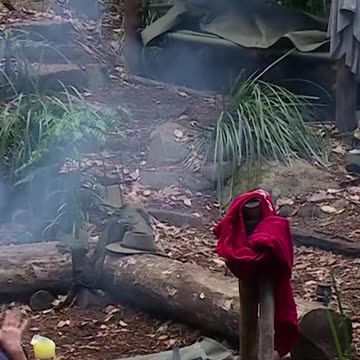 I'm A Celeb: Nella and Fred have a blazing row at camp