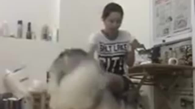 husky moment funny 2016