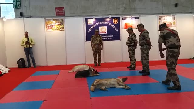 CISF demonstration of Dog Squad