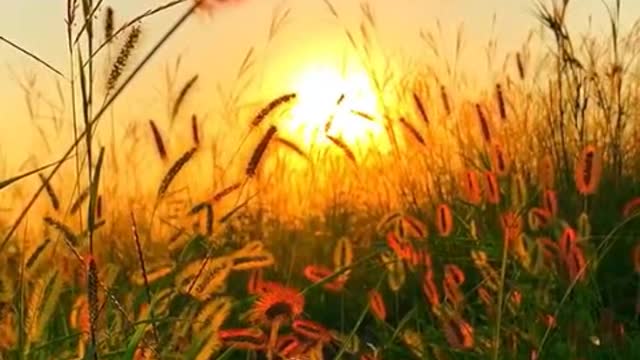 You wait for the tenderness of autumn to leave me out of the scenery