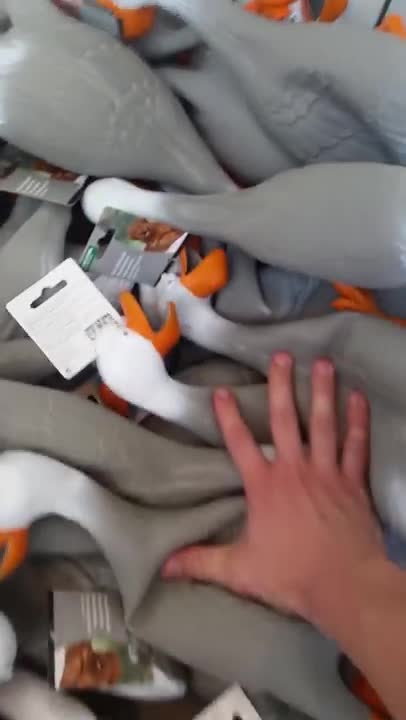 Duck Army