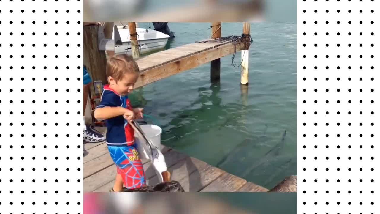 Babies saw a fish for the first time