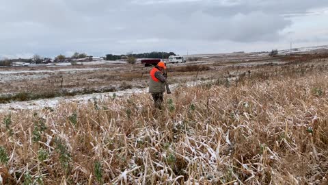 ND Pheasant Action