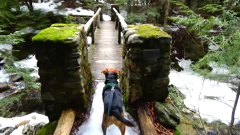 Foot Bridge