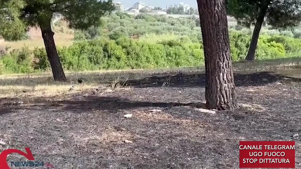 Cadavere carbonizzato trovato nell' auto elettrica andata a fuoco.