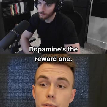 Is dopamine the shadow of happiness