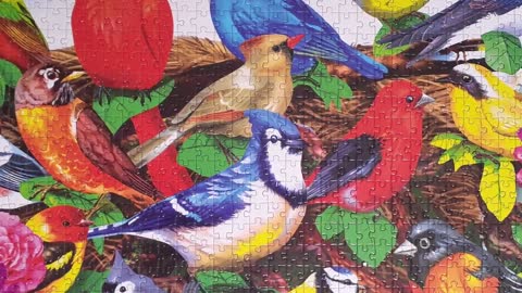 Jigsaw Puzzle Timelapse - 1000pc Birds