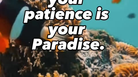 Your patience is your paradise