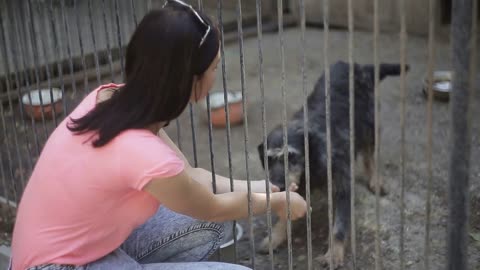 Girl volunteer in the nursery for dogs. Shelter for stray dogs