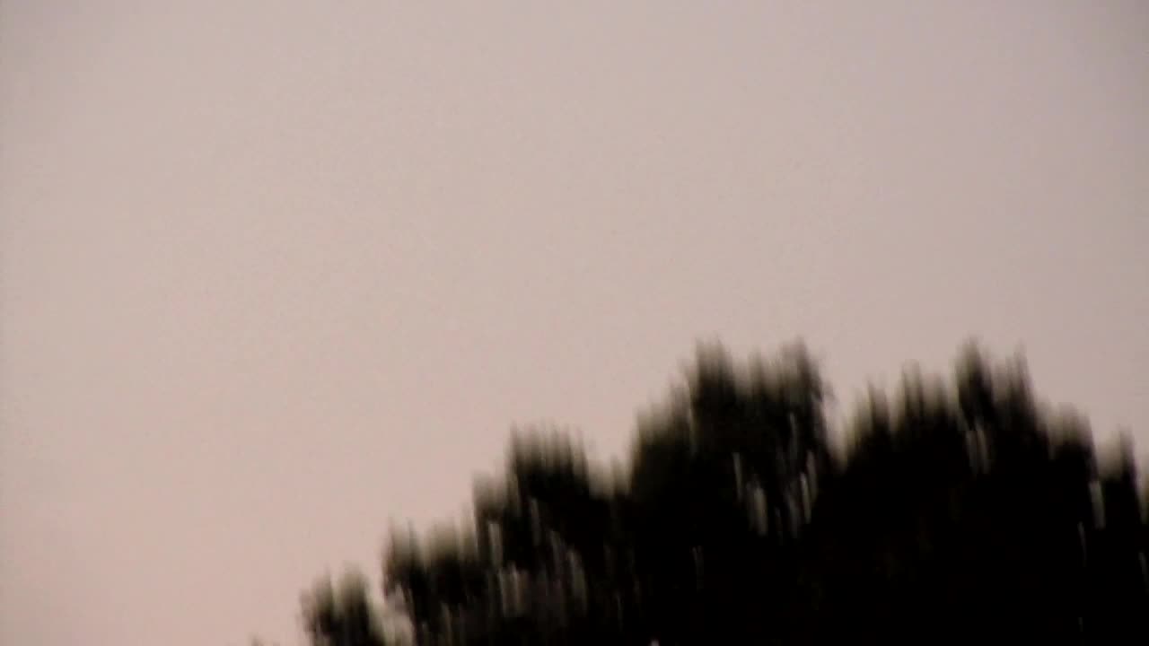Paragliders