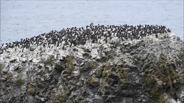 Oregon Coast August 2020