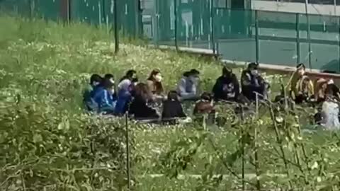 Se questo è un professore…