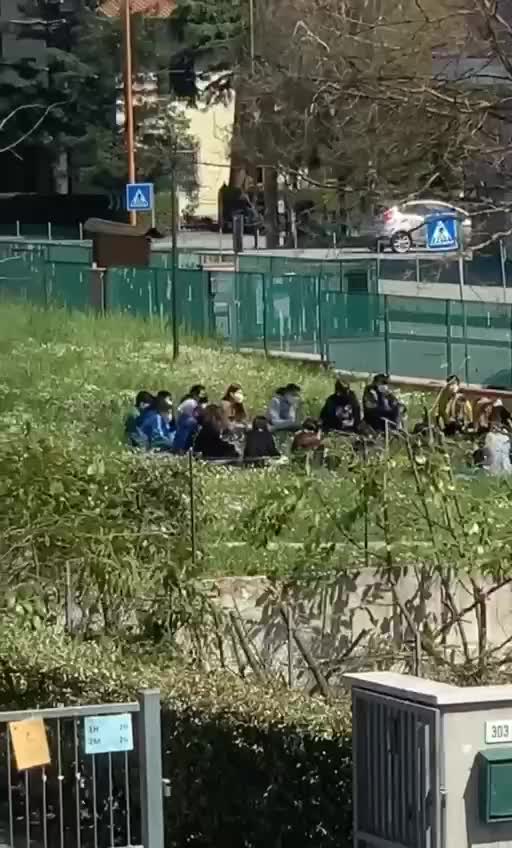 Se questo è un professore…