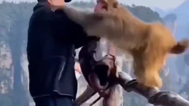 Funny Comedy videos | Try to not laugh😂🤣
