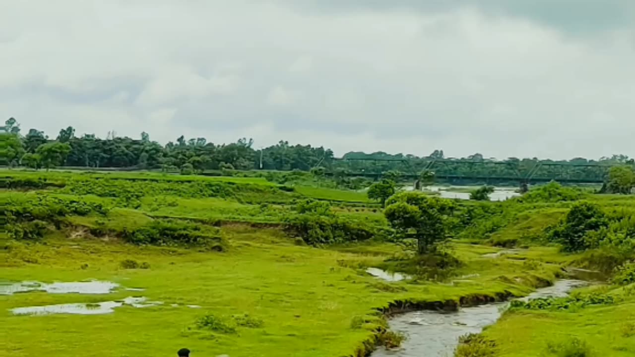 Nuture Environment